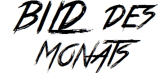 BILD DES MONATS1